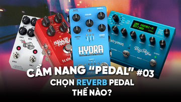 Cẩm Nang “Pedal” #03: Reverb - Có Những Loại Nào?