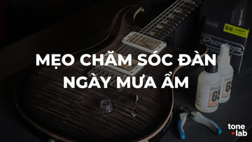 Mẹo Chăm Sóc Đàn Guitar Vào Những Ngày Mưa Ẩm | Tone Lab