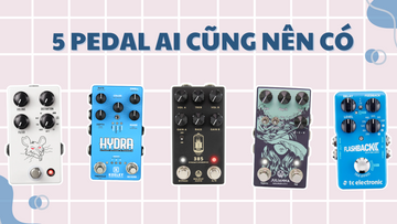 5 Effect Pedal Cơ Bản Cho Người Mới Bắt Đầu