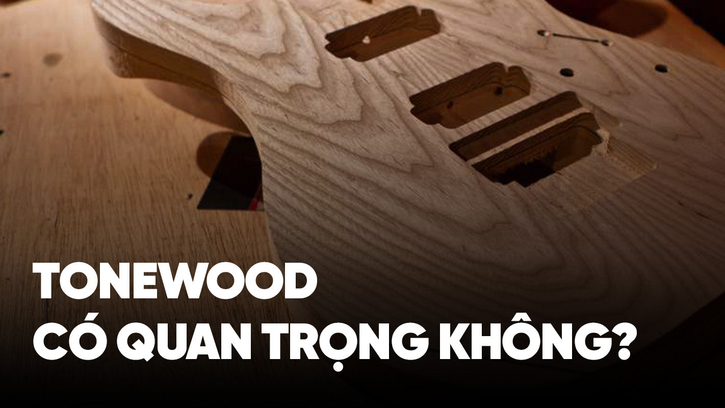 Tonewood - Có thật sự quan trọng hay không?